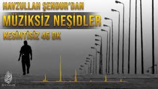 MÜZİKSİZ 45 DAKİKA KESİNTİSİZ NEŞİDLER