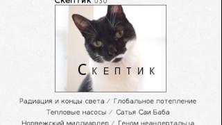 Скептик 030
