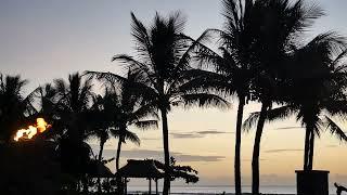 "Affordable Luxury: Inside Tahiti's InterContinental Overwater Motu Bungalows"