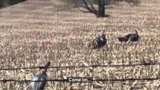 Angler & Hunter Television - Tricking Toms into Decoys