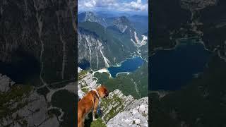 Views from Mt. Jerebica, the Julian Alps #slovenia #nature #mountain #travel #beautiful #hiking