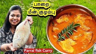  இங்கிலாந்து மீன் குழம்பு ஒரு தடவை மீன் இப்படி செஞ்சு பாருங்க / parrai fish kulambu/Tamil vlog