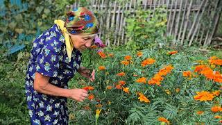 Lonely Happy Old Age of 86-year-old Grandmother from an Old Village on the Edge of Civilization!