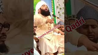 Sayyed Aminul Qadri bayan #2024shorts #subscribe #comment #chishti #netwark #0786