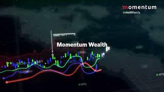 Momentum Investments: Who we are