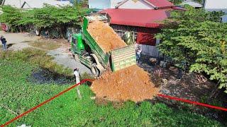 Launches a new project. Clear land to prevent flooding with Bulldozer D20p and Dump truck 5Ton