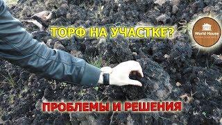 Торф на участке? Проблемы и решения