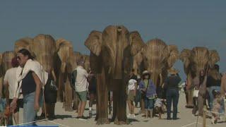 Great Elephant Migration captivates visitors at Art Week