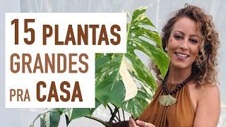 15 PLANTAS GRANDES pra ter em CASA: sugestões para DECORAR a SALA