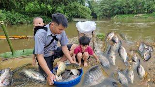 How to catch fish, trap fish to sell at the market - child care