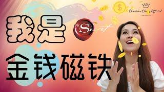 想要成为【金钱磁铁】之前 你必须要学会这【没人告诉过你的秘密】 | 加速让你更快的利用吸引力法则成为金钱磁铁！