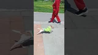 You Won’t Believe How Fast This Dog Runs!  