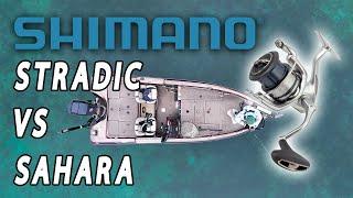 2024-2025 Shimano Stradic vs. Sahara / What Reel You NEED!