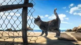 A TURTLE'S TALE - Cat - Film Clip