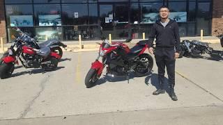 mind blowing  250cc EFI GTO HOWLET by Vitacci motors full review with minimum finance out of pocket