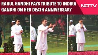 Rahul Gandhi News | Rahul Gandhi Pays Tribute To Grandmother Indira Gandhi On Her Death Anniversary