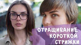 Как ПЕРЕЖИТЬ переходный период?! Отращивание КОРОТКОЙ СТРИЖКИ! Отрастить НАТУРАЛЬНЫЙ цвет волос