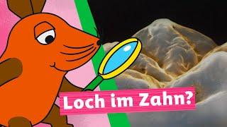 Wie entstehen Zahnlöcher? | Die Maus | WDR