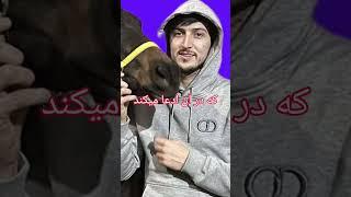 سردار‌ آزمون،جدید‌ترین‌ متهم‌ رسوایی‌ شرط بندی‌ در‌ ایتالیا #shorts