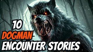 10 Scary DOGMAN Encounter Stories