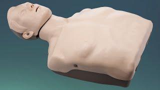 Brayden CPR Manikin - Demonstration and How to Replace Lung Bags