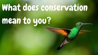 What does conservation mean to you?