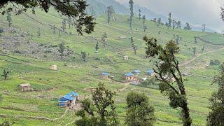 Surviving Life in the Nepali Mountain Village || Rainy Season is Back || Highland In Nepal