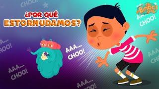 Por Qué Estornudamos? | Vídeo científico | Ciencia Para Niños | Video Educativos