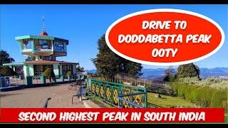 Driving to Doddabetta Peak - OOTY, South India's Highest Point