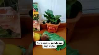 Saúde e exercícios sempre combina com um bom e saudável alimentos.(1)