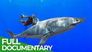 Adventure Ocean Quest: Discovering Another World | Special Episode | Free Documentary Nature