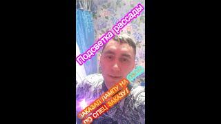 Лампа для подсветки растений на зимний период.#shorts
