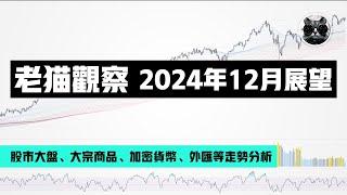 【老貓觀察】2024年12月展望：美股大盤、黃金原油貴金屬、大宗商品期貨、加密市場等回顧與分析 | 老貓與指標