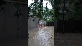 The Front Yard Of My Neighbour Houses  was Under Water #shorts #youtubeshorts