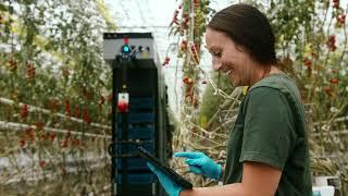 Four Growers | Harvest at the press of a button