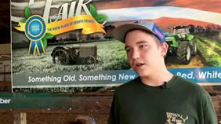 DeSoto County Youth Fair Livestock Weigh-in 2017