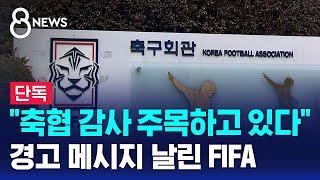 [단독] "축협 감사 주목…외부 간섭 시 제재" FIFA의 경고 / SBS 8뉴스