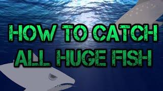 Cat Goes Fishing: How To Catch ALL Huge Fish