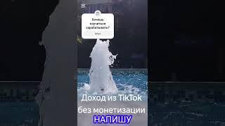 Научись реально зарабатывать в TikTok #заработок  #заработать  #заработоквтикток