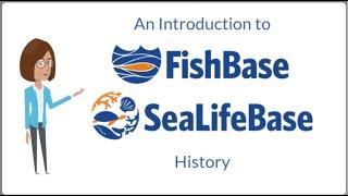 History of FishBase and SeaLifeBase