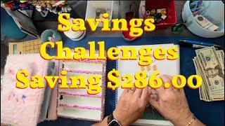 Savings Challenges- 2nd for September- $284.00- family binder- sinking funds- Christmas & Vacation