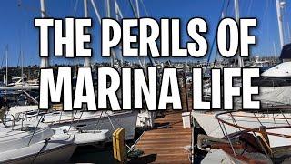 The DANGERS of MARINA LIFE!