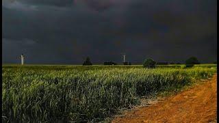 Summer Storm | Nostalgic Feel in Village Field | Rolling Thunder, Crickets | Sleep, Study