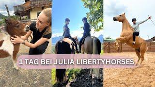 Einen Tag bei Julia Libertyhorses 