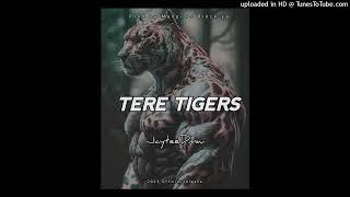 TERE TIGERS (2023) - JAYTEEDMW (Single)