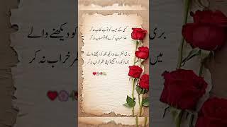 New urdu poetry ️ #shayari #poetry #urdu #shayari #love #shorts