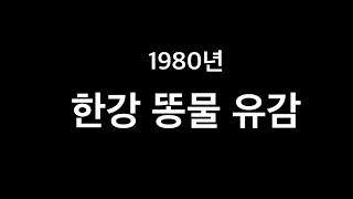 똥물 한강 (1980년대) 을 보면서 ...