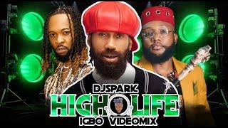 IGBO HIGHLIFE MONEY NA WATER LEVELS CULTURAL PRAISE ft FLAVOUR, KCEE, ODUMEJE PHYNO ONYENZE #IGBO