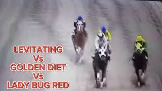 LEVITATING Vs GOLDEN DIET Vs LADY BUG RED,, Sino Mananaig,, Let's Go..