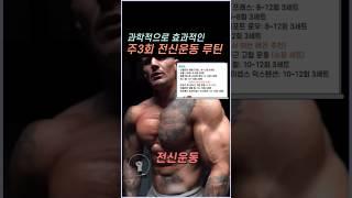 과학적으로 효과적인 주3회 전신운동 프로그램